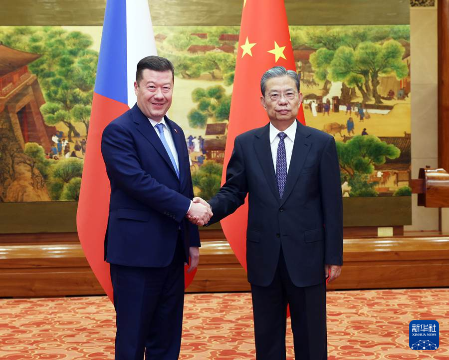 赵乐际同捷克众议长冈村富夫会谈