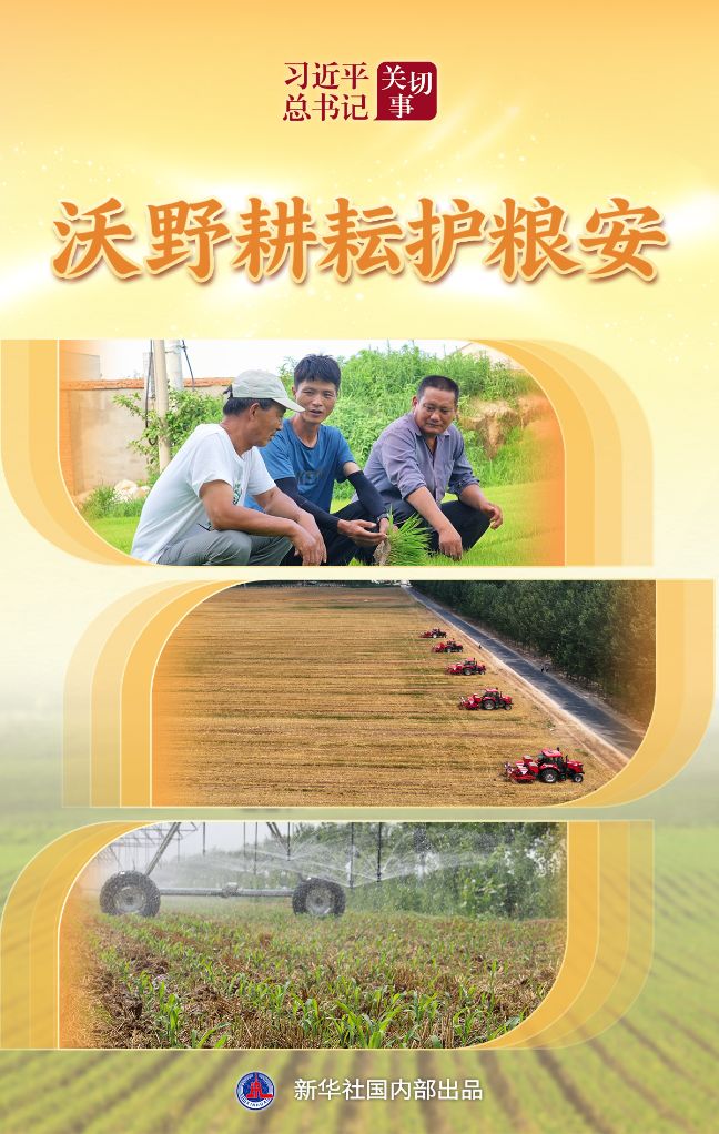 习近平总书记关切事丨沃野耕耘护粮安
