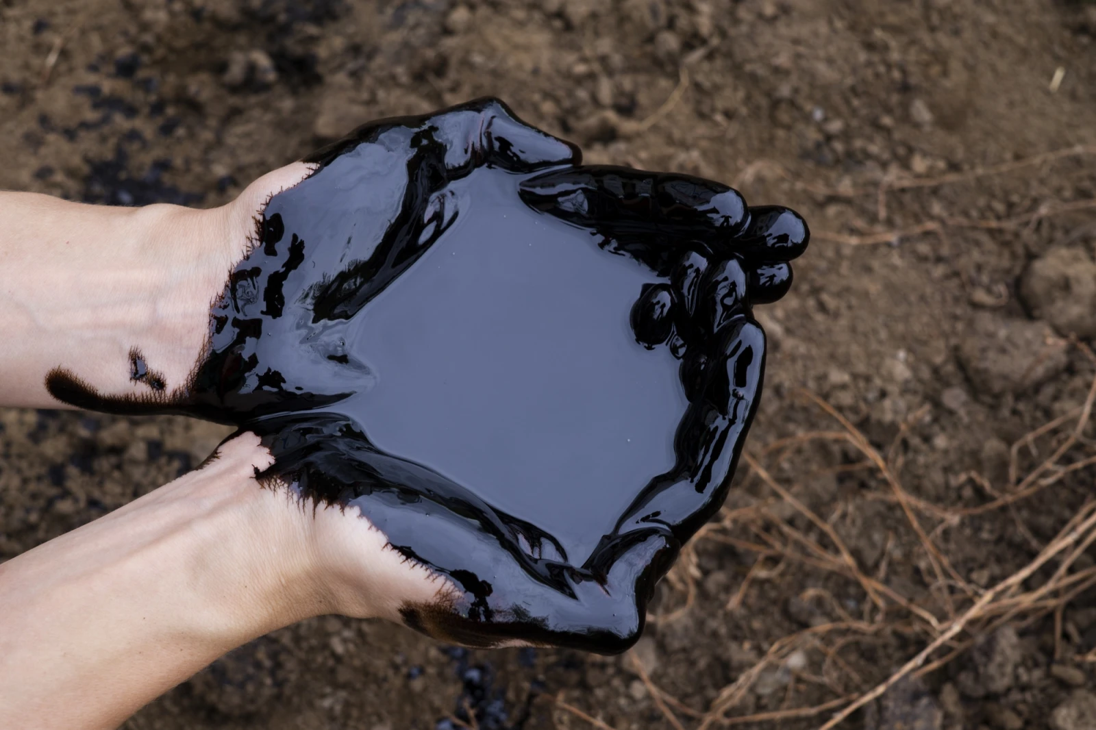 Brent-ն էժանացել է՝ մեկ բարելը 97,91 դոլար