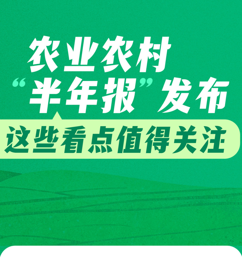 农业农村“半年报”发布，这些看点值得关注