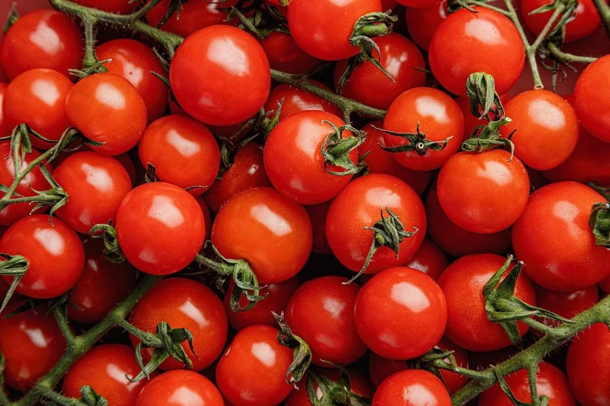 Հայաստանը դարձավ վրացական լոլիկի գլխավոր ներմուծողը