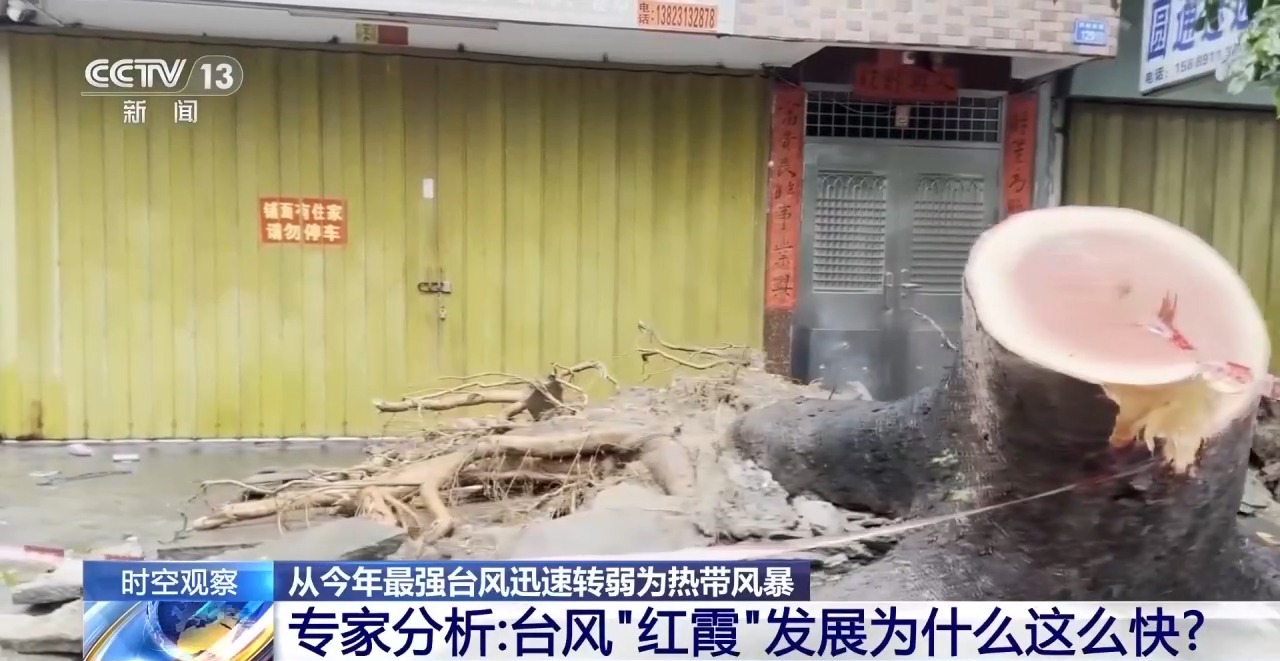 台风“红霞”发展为何这么快？专家分析