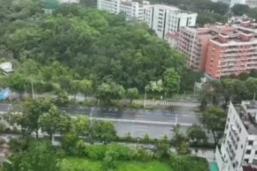 机票“超售”：买了票却飞不了 单方规则让旅客吃亏