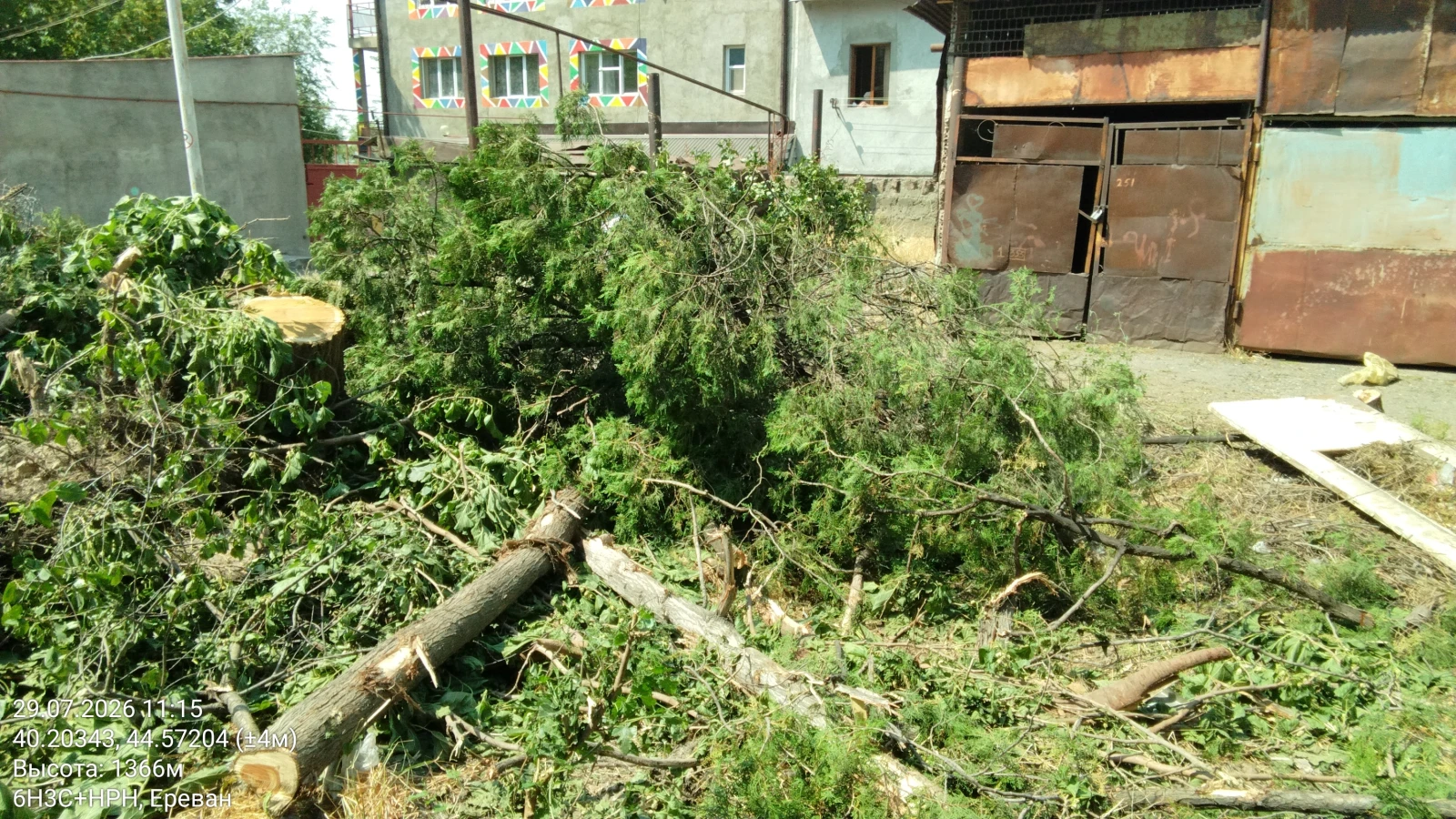 Մոլդովական փողոցում ապօրինի ծառահատումների դեպքով ԲԸՏՄ-ն հաղորդում է ներկայացրել Քննչական կոմիտե