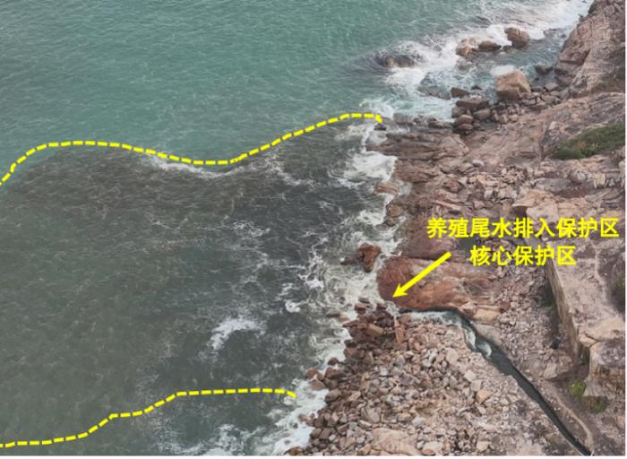 中央生态环保督察公布广东广西典型案例 海水养殖污染等乱象曝光