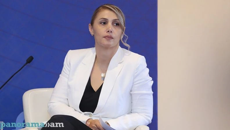 MP Elinar Vardanyan: 7 proposals for Armenia that I want to highlight, attach great importance to in Prosperous Armenia Party program